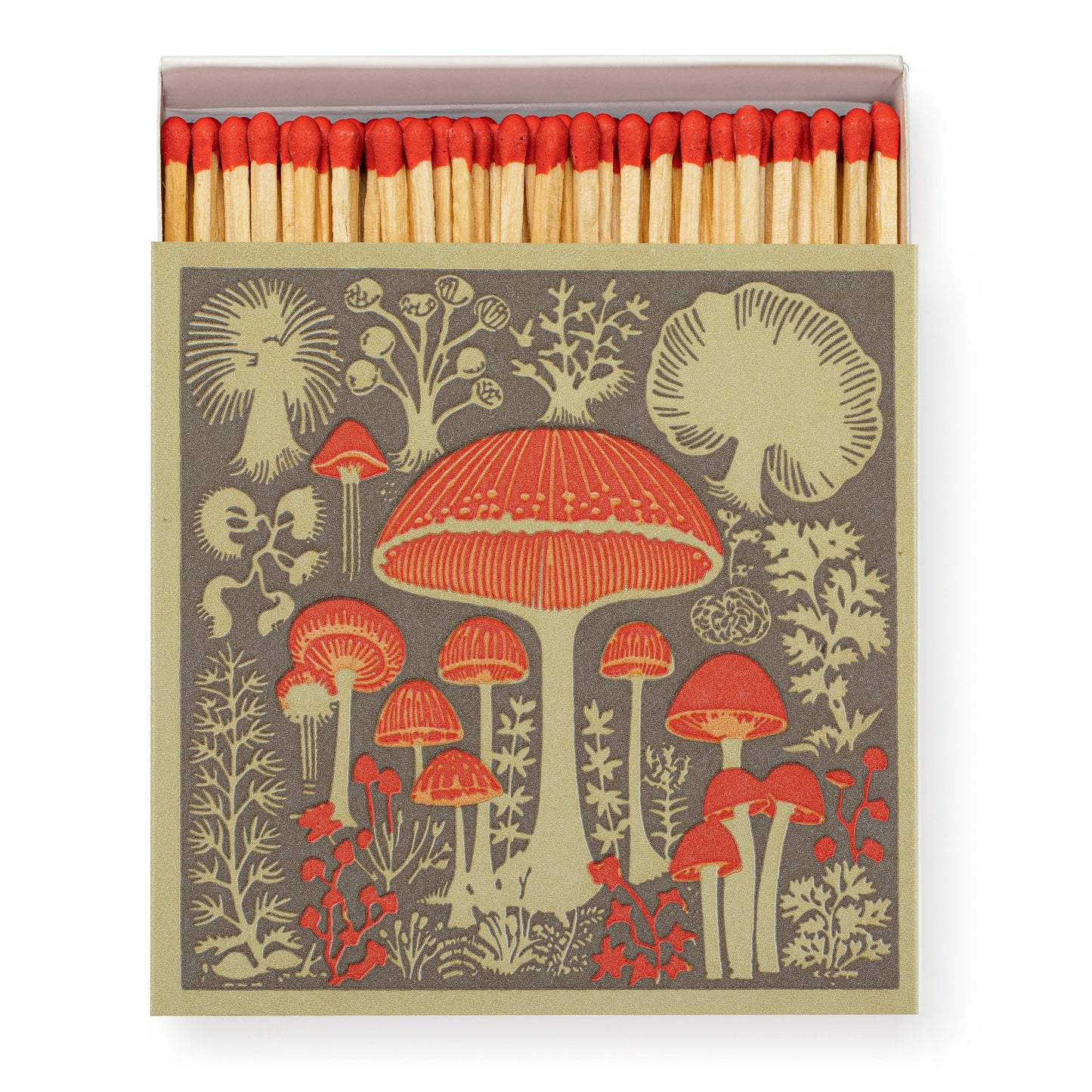 Mushroom | Square Matchboxes