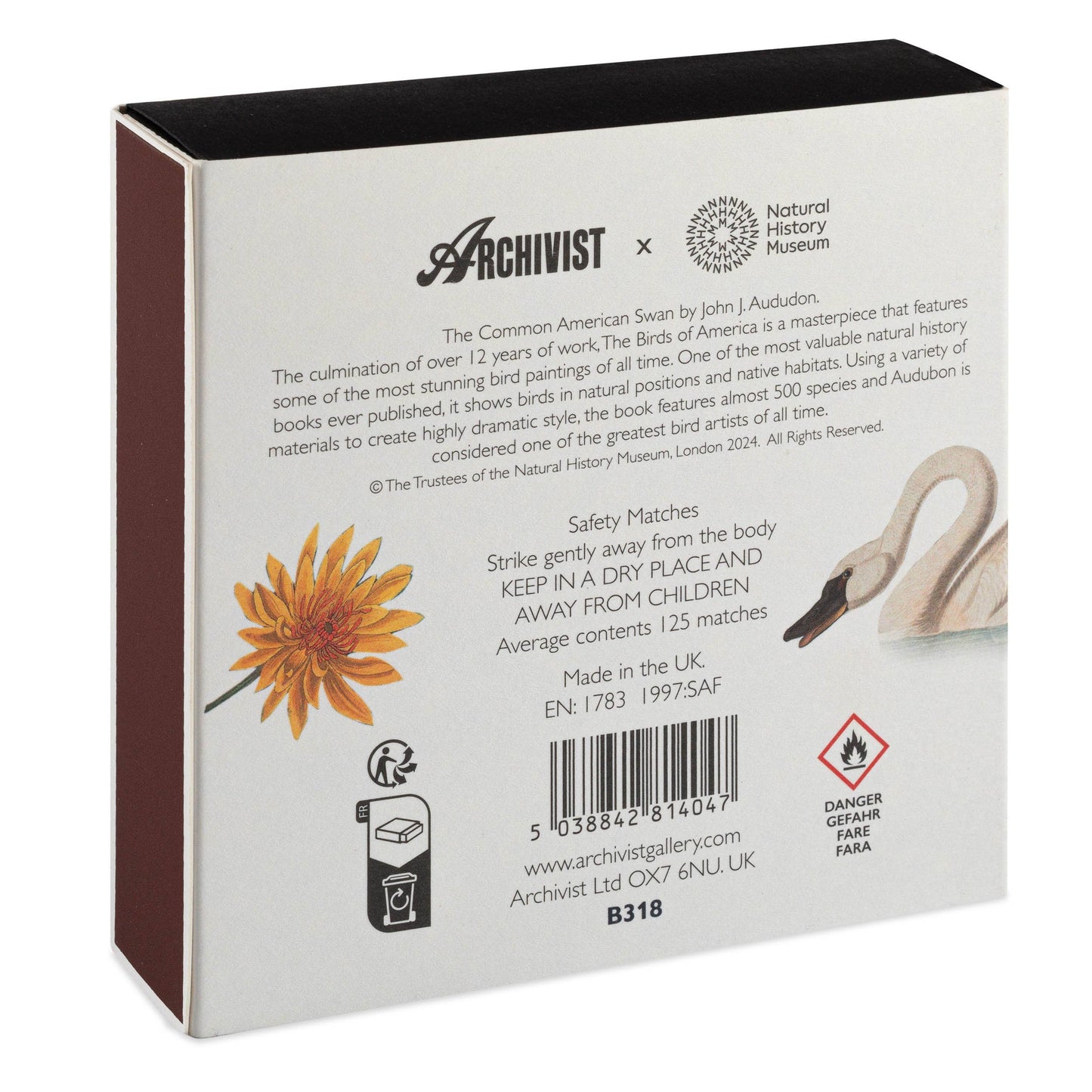 Common American Swan | Square Matchboxes