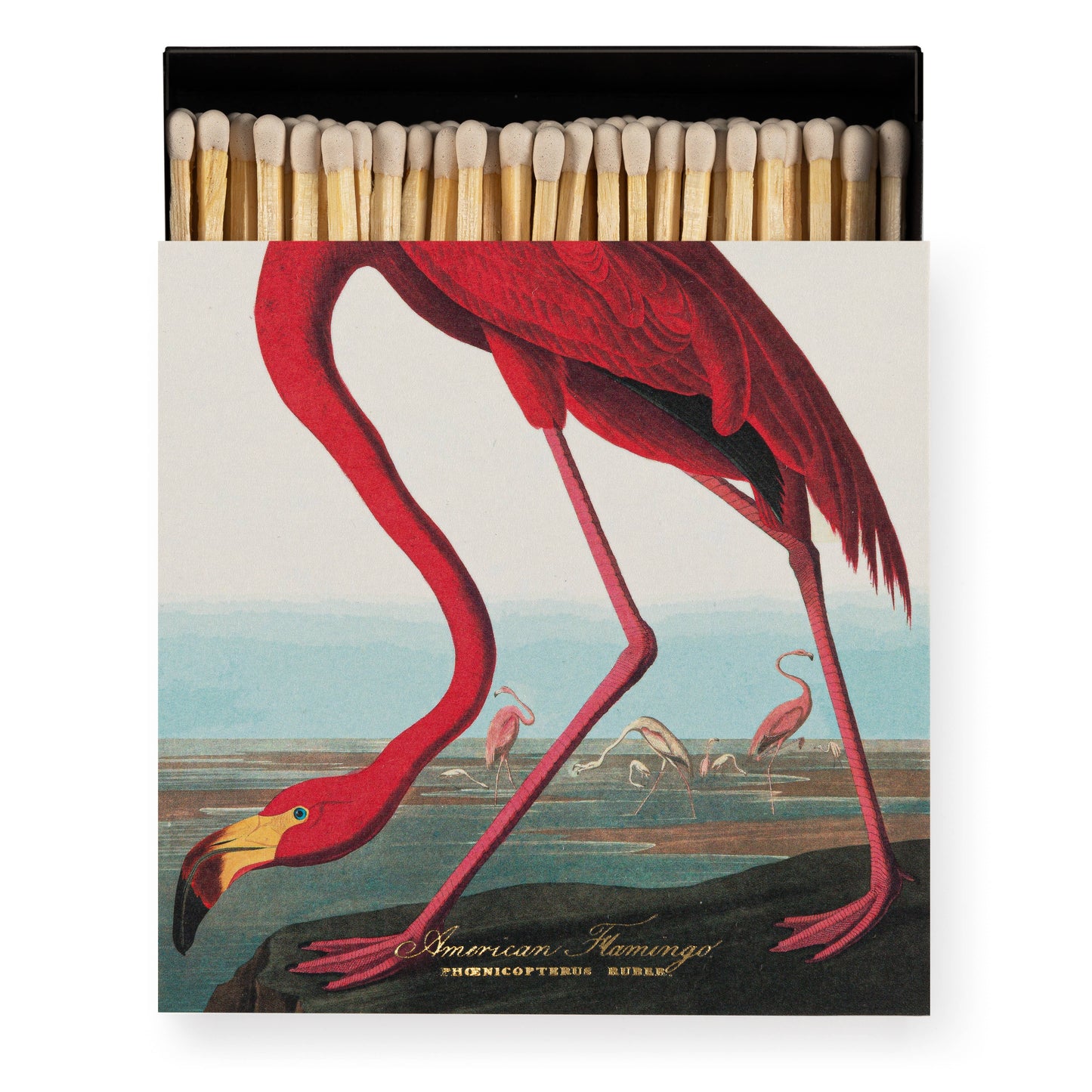 American Flamingo | Square Matchboxes