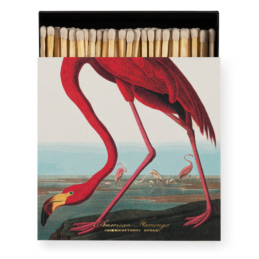 American Flamingo | Square Matchboxes