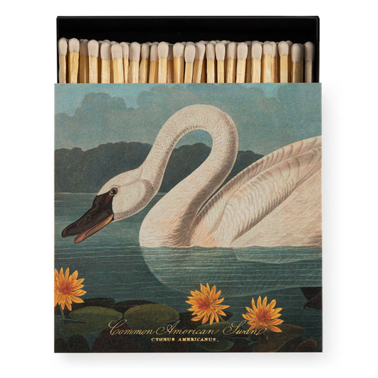 Common American Swan | Square Matchboxes