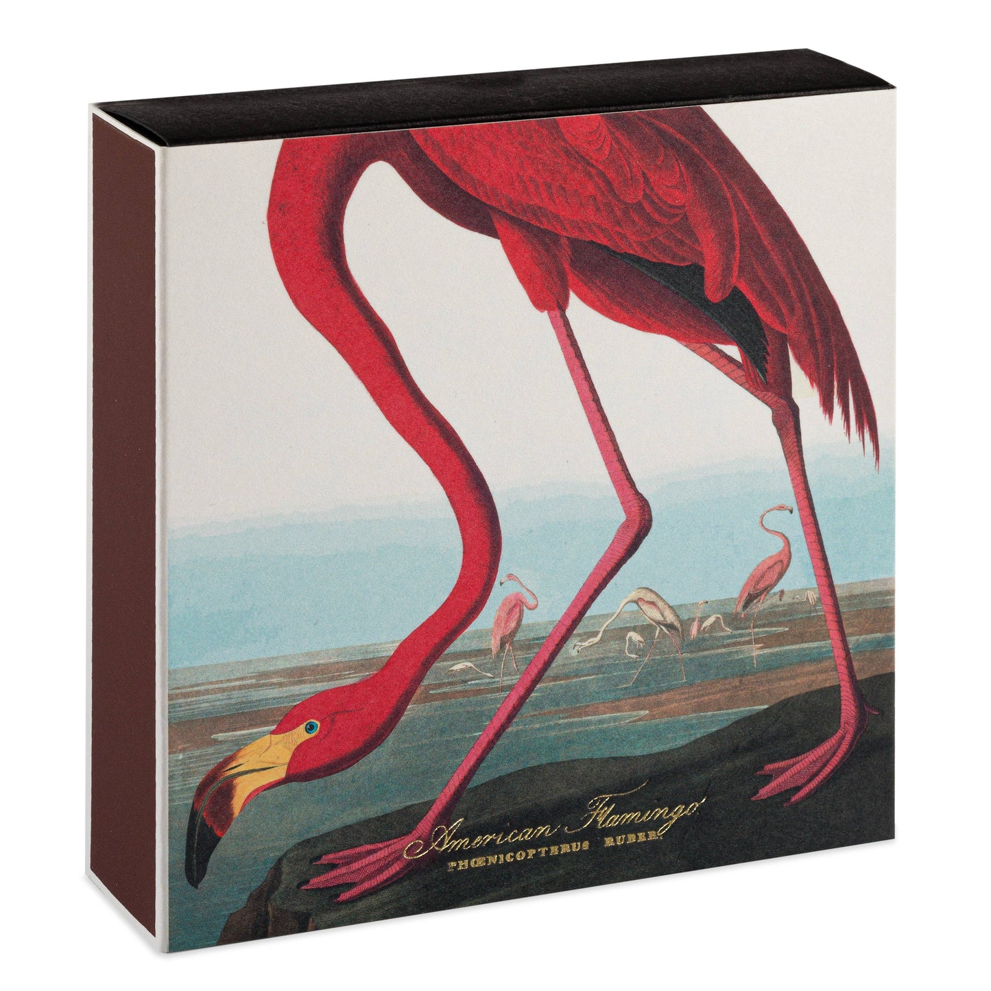 American Flamingo | Square Matchboxes